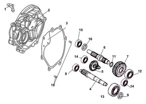 Cabo 125 – E 14 Transmission – 15 Radial Ball Bearing