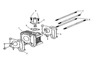 Cabo 50 – E 05 Cylinder – 02 - Cylinder Gasket