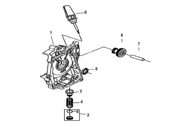 Cabo 50 – E 06 R Crank Case Cover – 07 - Start Reduction Gear Shaft