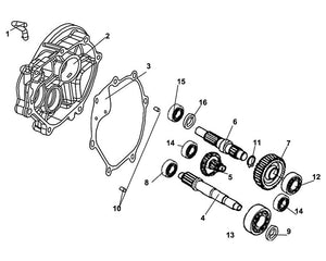 Cali Classic 125 – E 14 Transmission – 13 Radial Ball Bearing 204