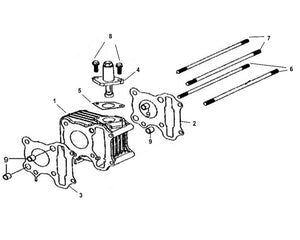 Cali Classic 50 – E-05 Cylinder – 04 Tensioner Lifter ASSY