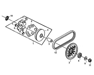 Cali Classic 50 – E-09 Moable Drive Face Assy – 12 Drive Belt