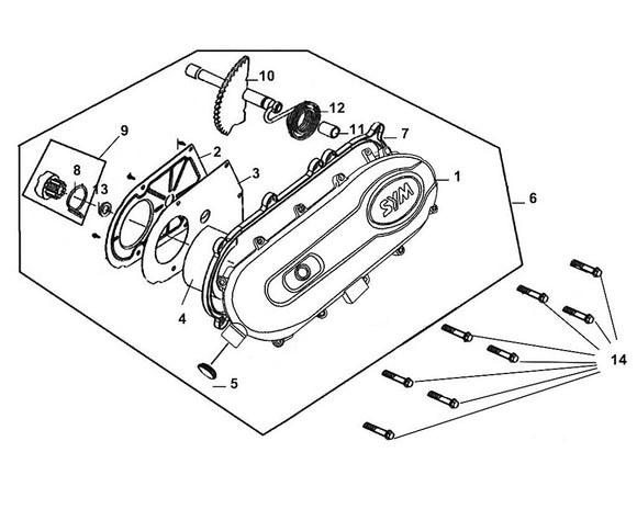 Havana Classic 50 – E 08 L. Crank Case Cover – 14 Flange Bolt 6x32