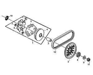 Havana Classic 50 – E 09 Movable Drive Face Assy – 05 Weight Roller Set (5.9g)