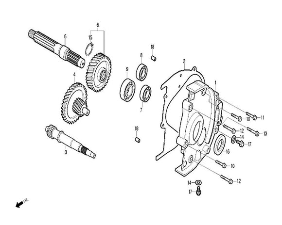 Italian Classic 150 – E-13 CRANK CASE – 23 - OIL SEAL 19.8X30X5